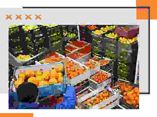 Перевозка скоропортящихся продуктов в Куйбышеве